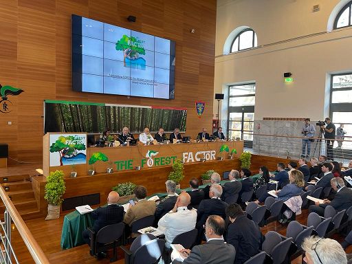 1686042542 Il comandante generale dei carabinieri le foreste sono cruciali per